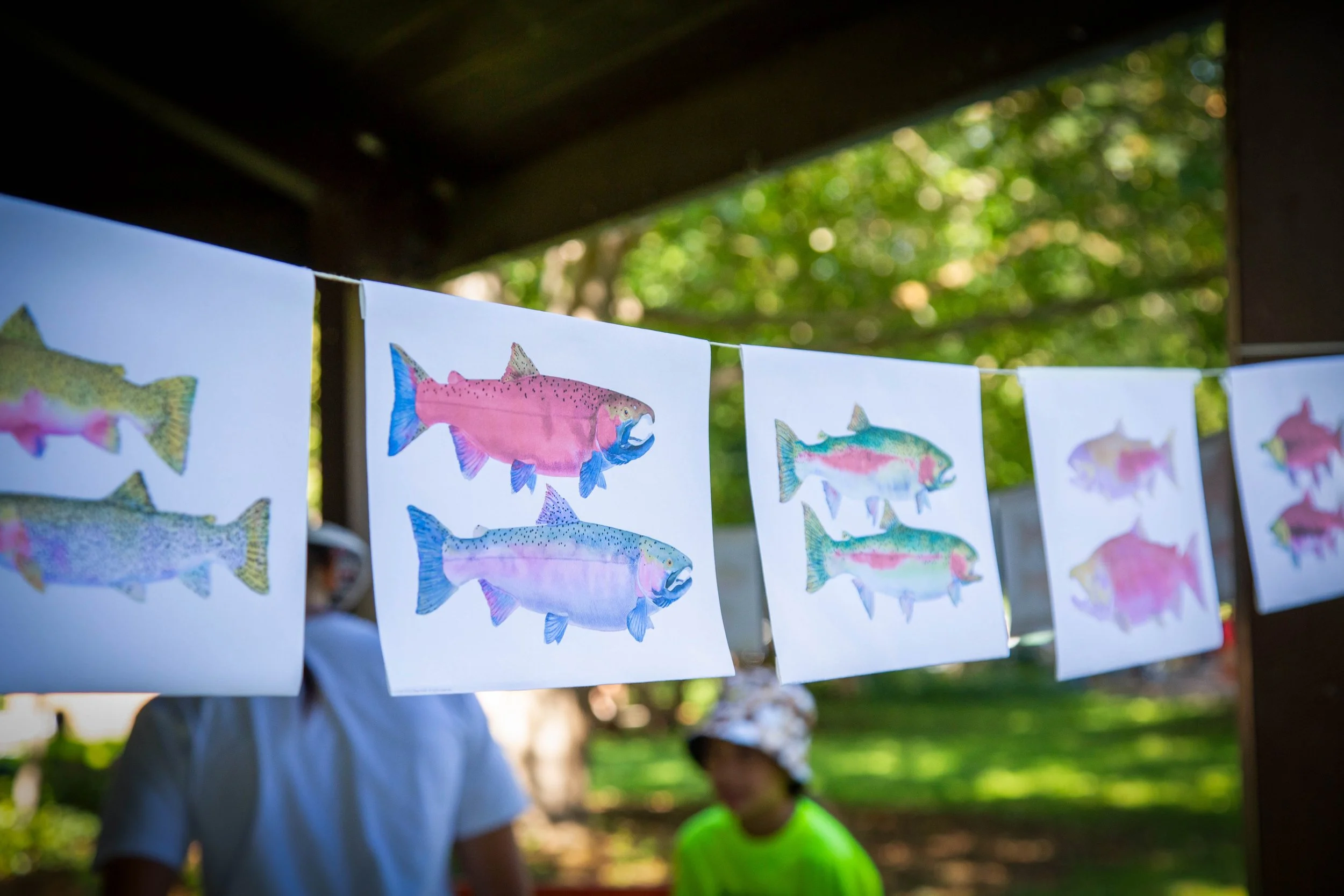 Colorful whale drawings hanging on a line outdoors with trees and sunlight in the background.