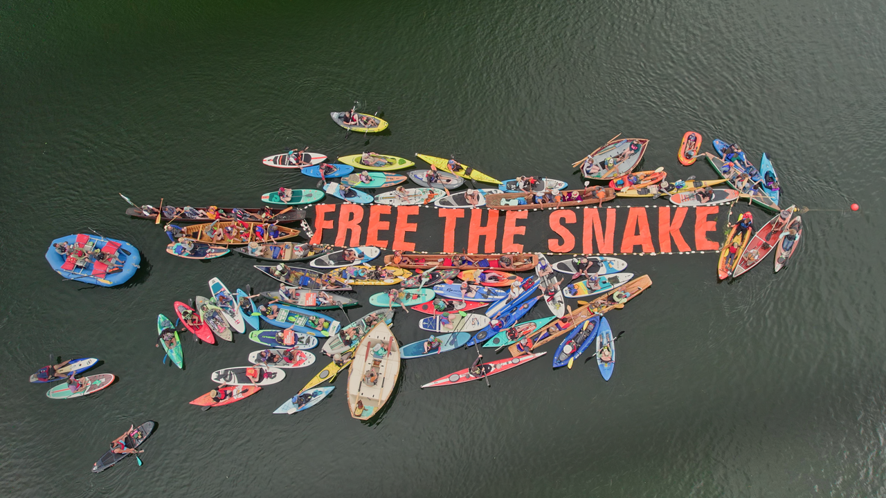 Aerial view of a boat protest on a body of water with numerous paddle and small boats surrounding a large black banner that reads 'FREE THE SNAKE' in red letters.