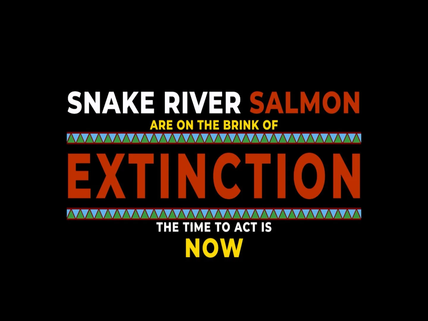 Graphic with text warning about the endangered status of Snake River salmon, urging immediate action to prevent extinction.