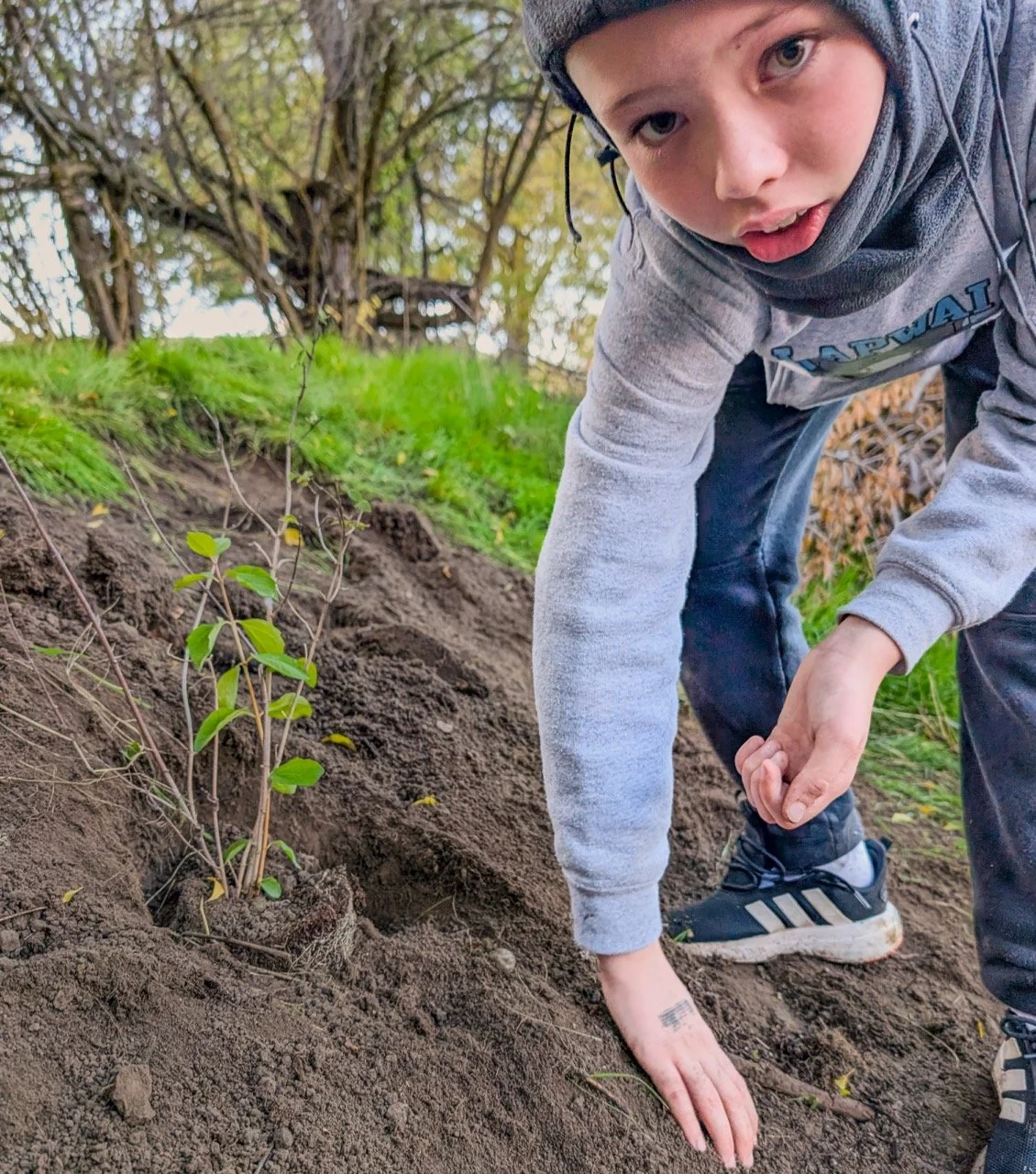 A young person planting a small plant in soil outdoors during daytime.