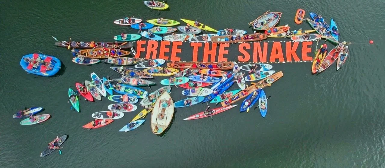A large group of various colorful kayaks and canoes on water surrounding a banner that reads "FREE THE SNAKE."