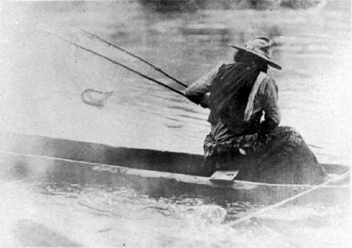 What happens to the salmon, happens to us. 
