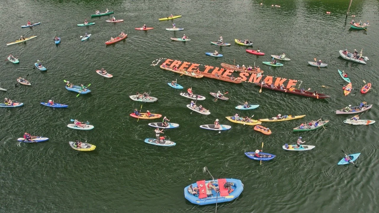 Aerial view of numerous kayakers and paddleboarders on a body of water, protesting with a large floating sign that reads 'FREE THE SNAKE'.