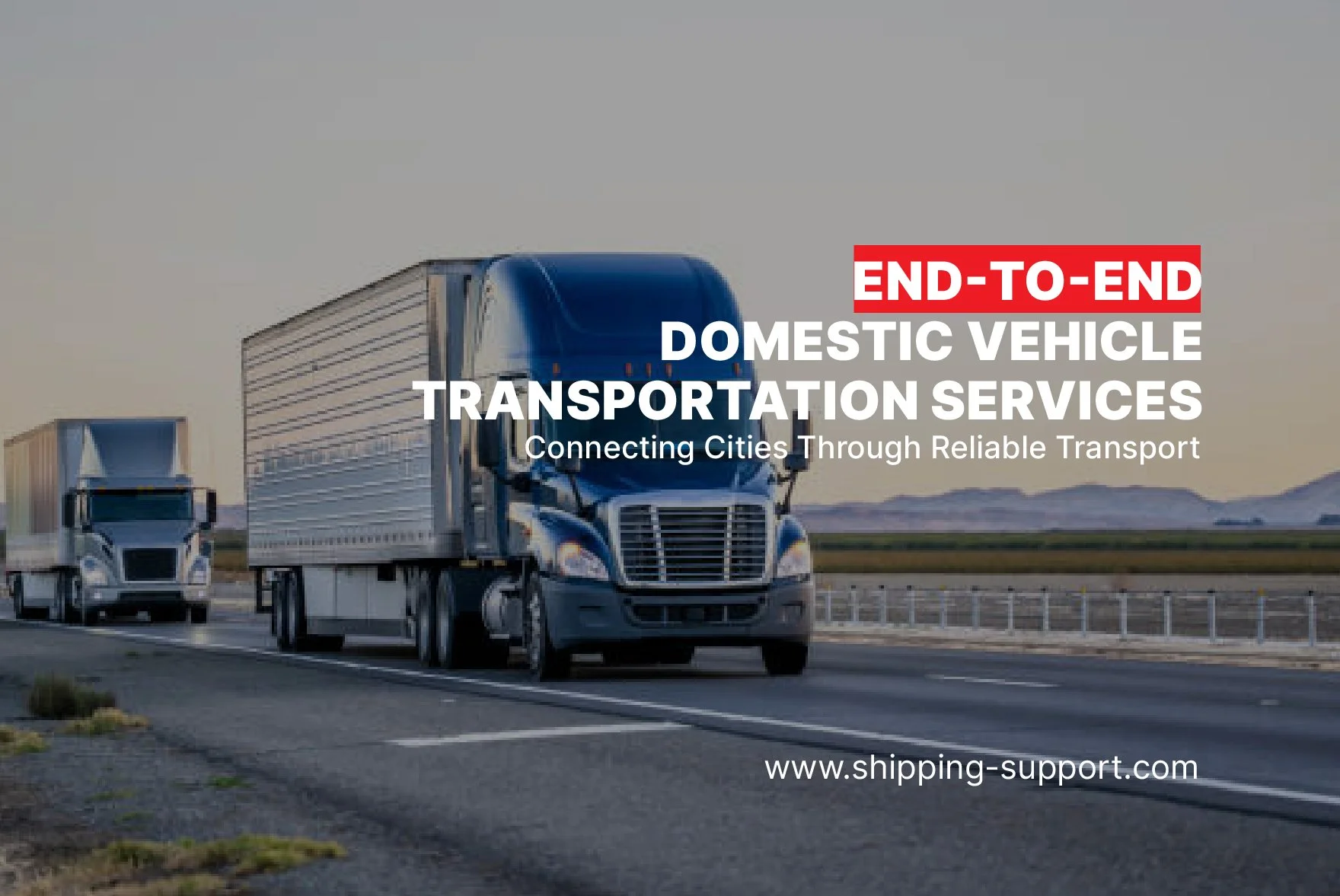 What are Domestic Transportation Services in the New York, NY