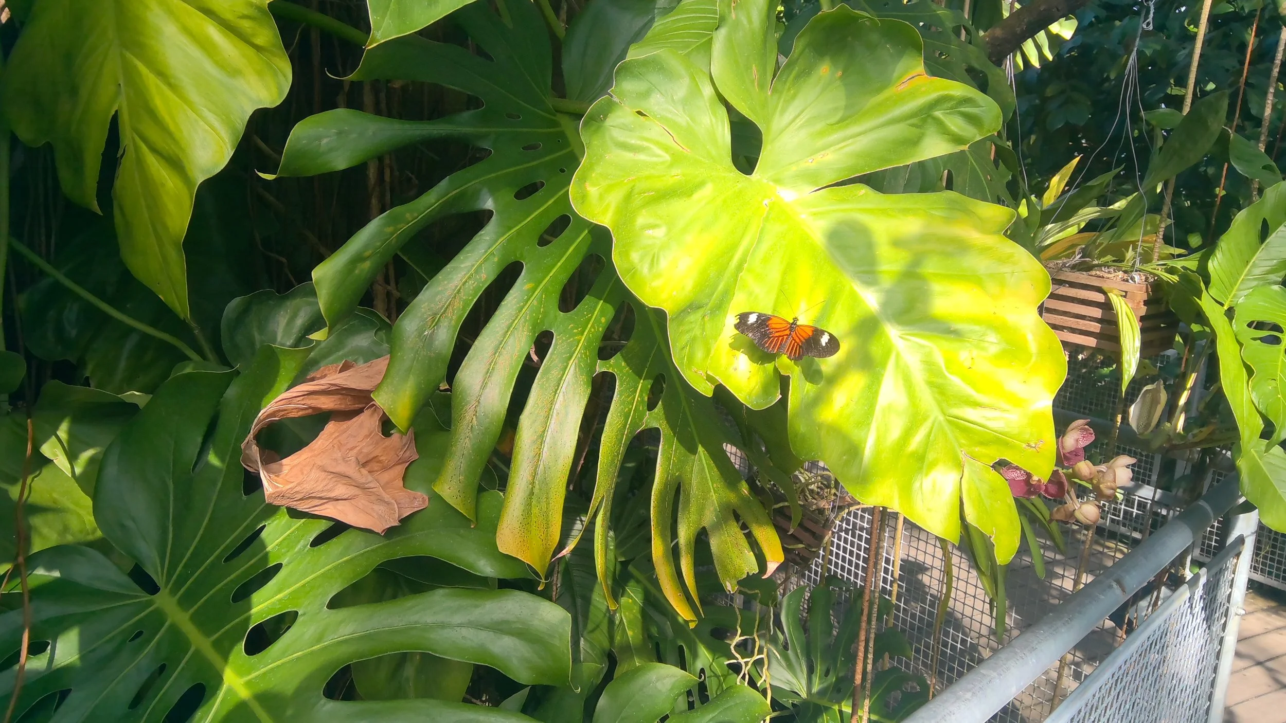 Starting Off  With A Bang