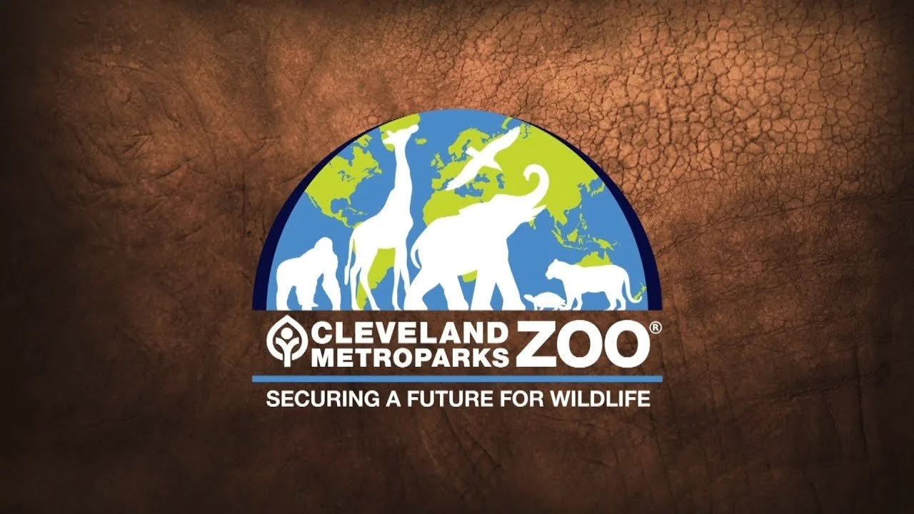 Working At the Cleveland  Metroparks Zoo 