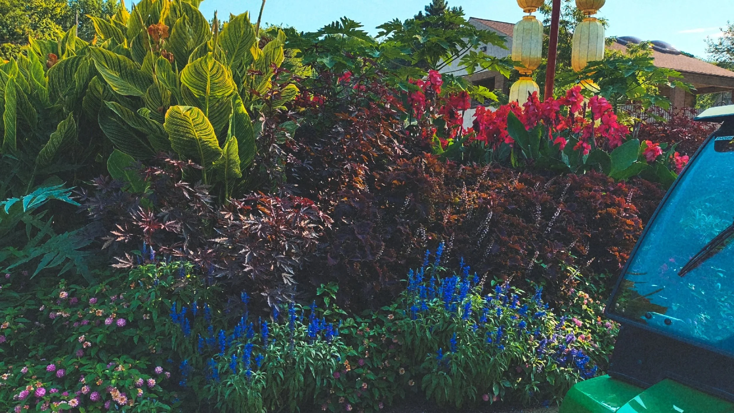 Colorful garden with various plants and flowers, including green leafy plants, pink flowers, blue flowers, and purple blossoms. Lanterns are hanging amidst the foliage, and a part of a blue and green vehicle is visible on the right side.