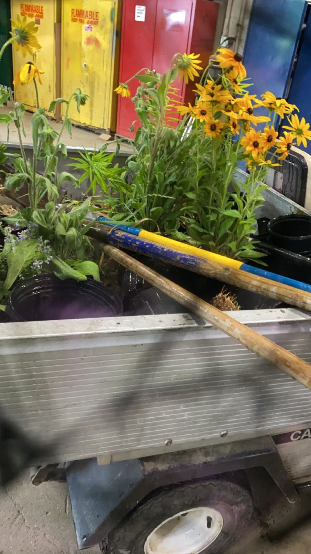A cart filled with potted plants and gardening tools in a workshop or storage area, with bright yellow, red, and blue lockers in the background.