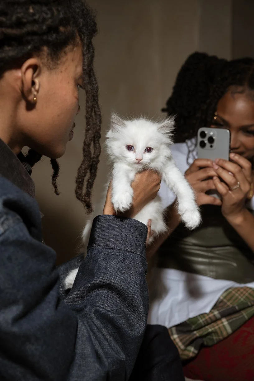 April 17th - Kitty Jam : Live Music & Kitty Play Time