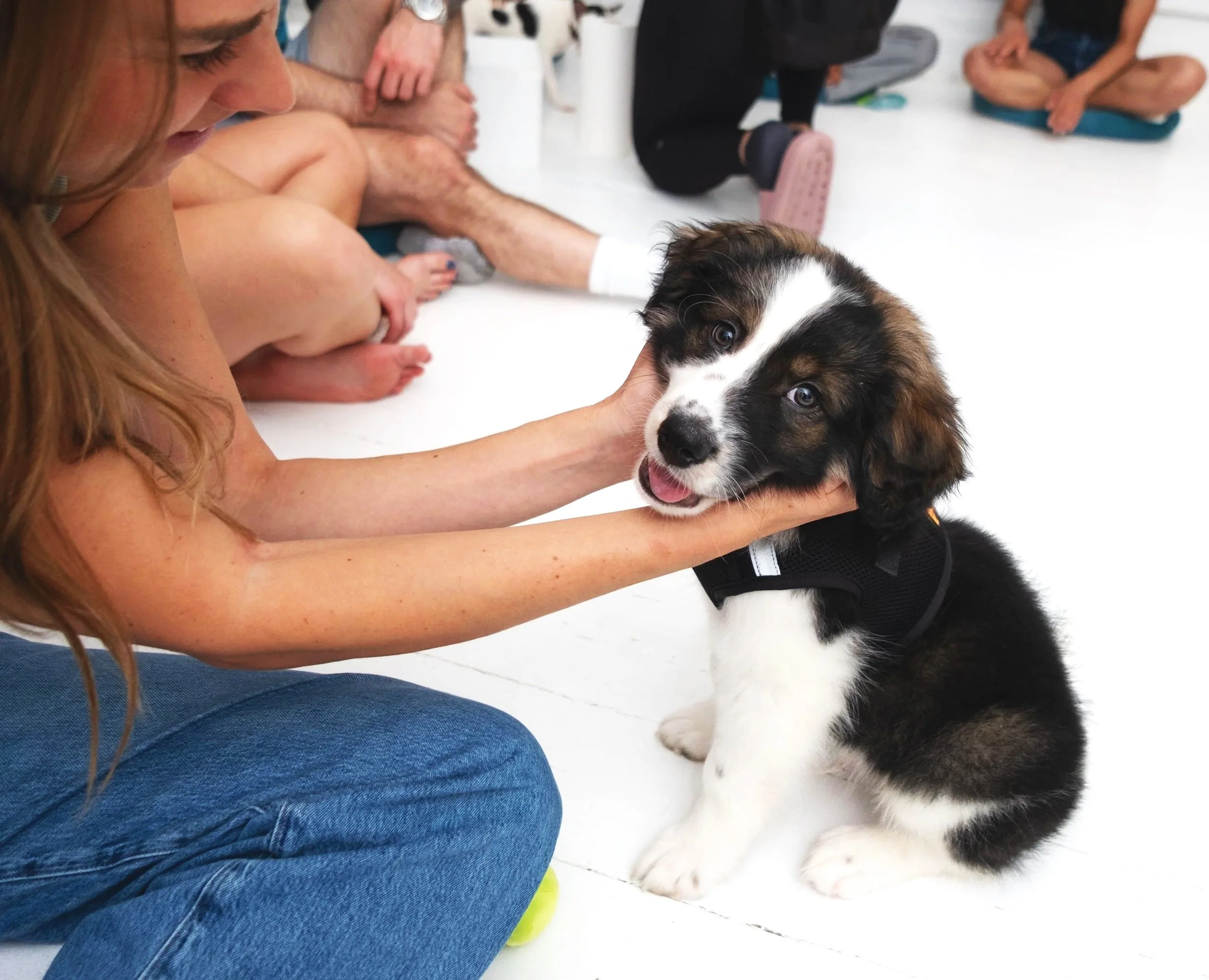 DSCF8879.jpg (Copy) (Copy) (Copy)