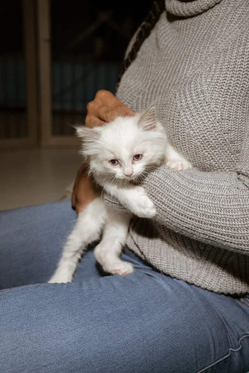 ZUZ00616.jpg (Copy) (Copy) (Copy)