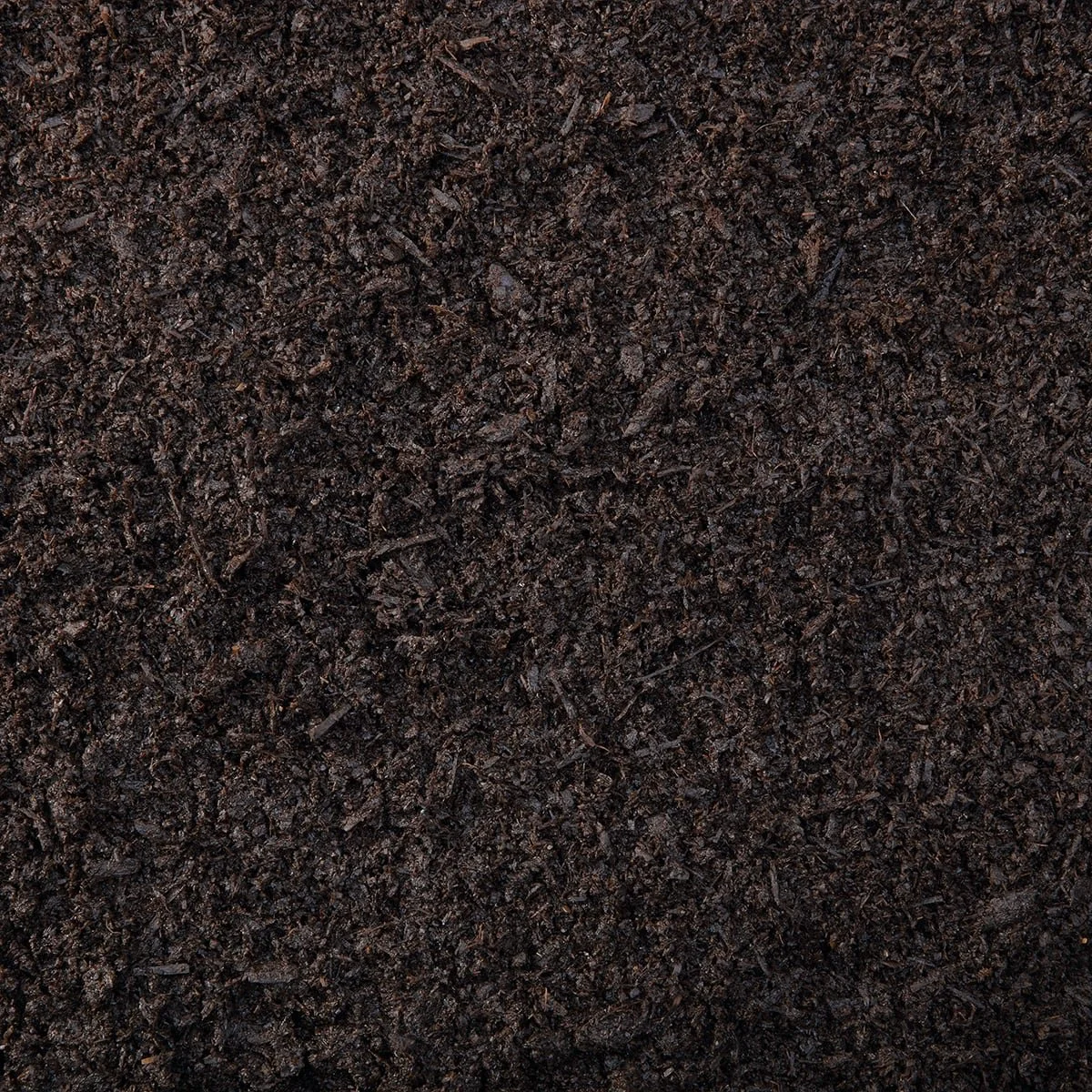 Close-up view of dark, moist soil or compost.