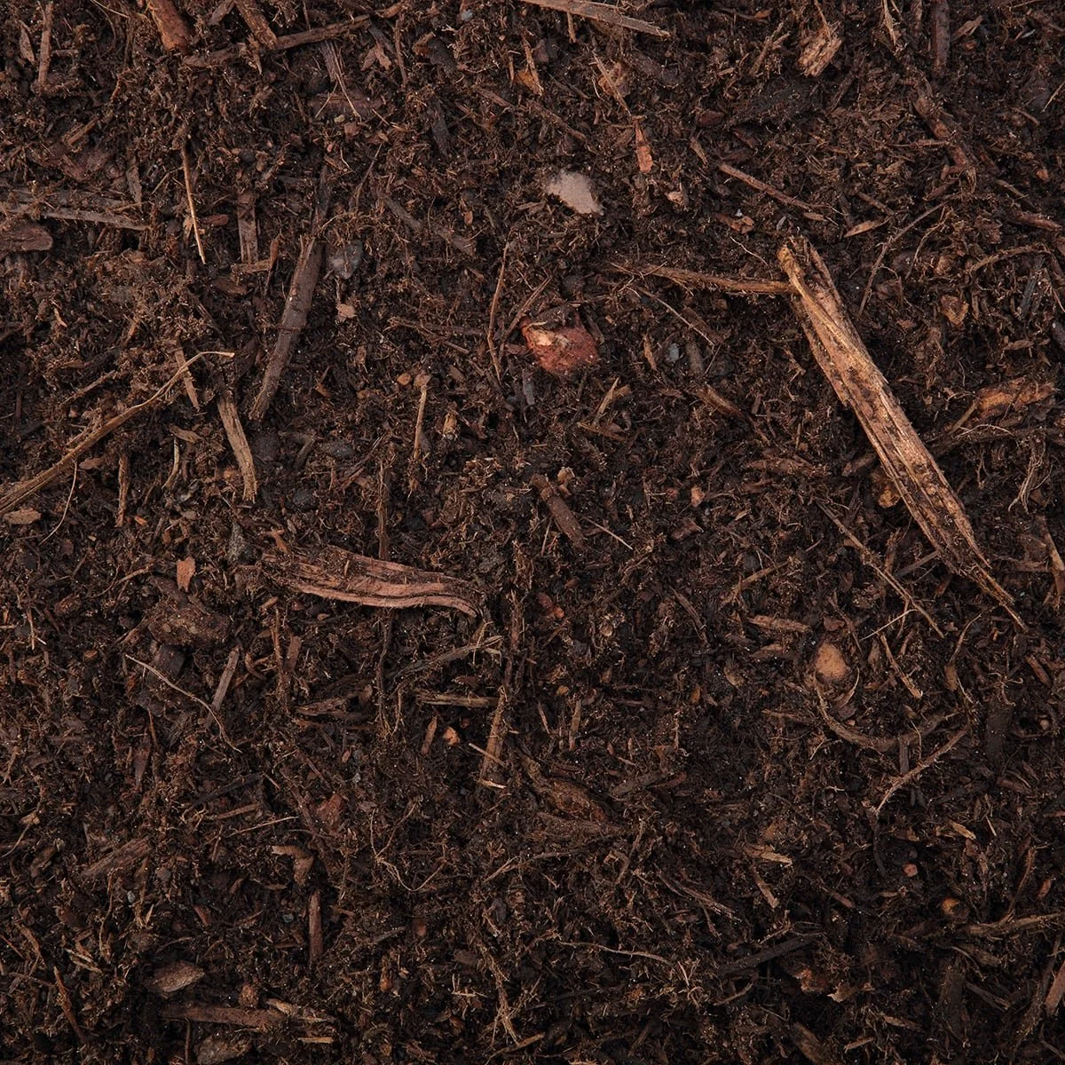 Close-up of dark brown soil with small organic matter and wood chips