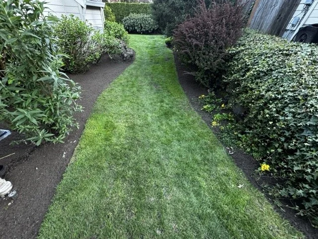 post mulch and lawn renovation
