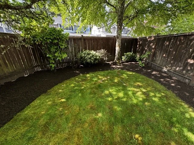 IMG_1682 Medium.jpeg