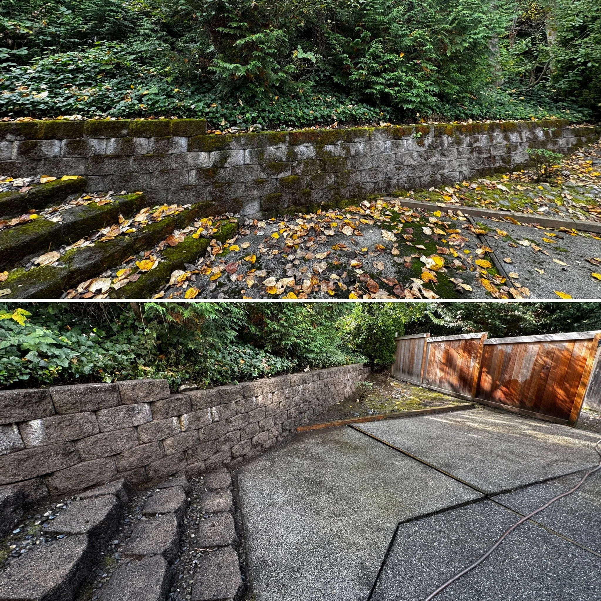 Comparison of two brick retaining walls and surrounding areas: the top image shows a moss-covered brick wall next to a pathway with fallen leaves, while the bottom image shows a clean, well-maintained brick wall with a paved area and a wooden gate.
