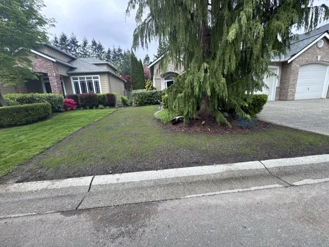 Complete Lawn renovation