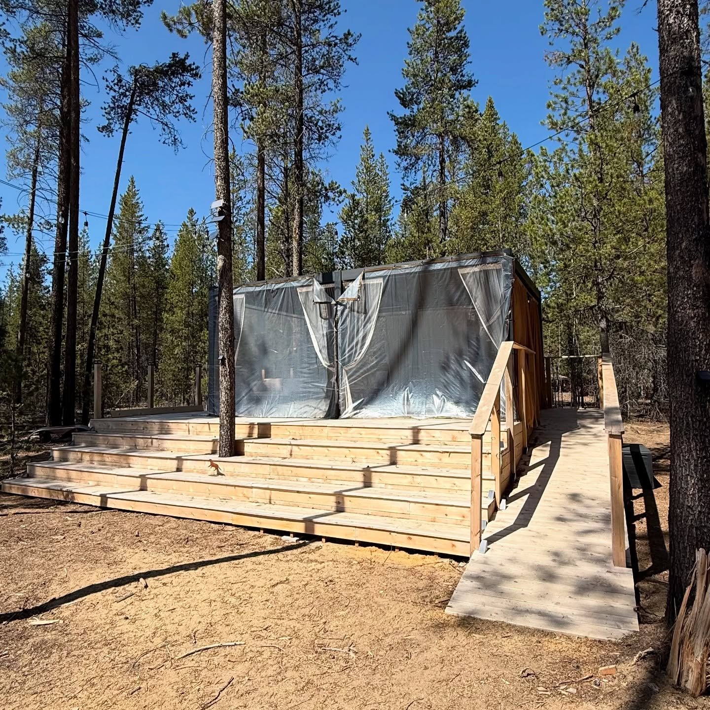 Picture it: the forest, April 2025. A sassy ranch-in-progress, a golden deck almost done, and a whole lotta dog fur blowing in the breeze.
She’s not fully ready for her close-up, but honey, she’s serving Blanche Deveraux in a tool belt.