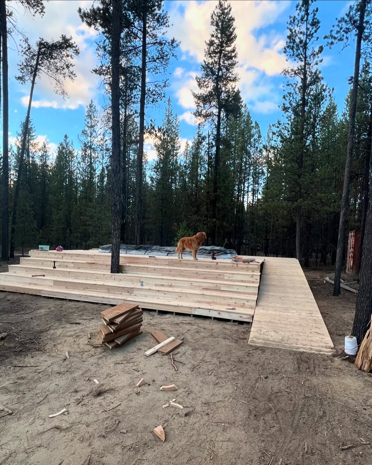swipe for progress! 🙌🏻
a solid week of decking makes the swim spa accessible! guardrails and finishing touches next, including potentially a new platform for the sauna 🥵
our pups need to get dry and warm fast, and the added benefit of red light