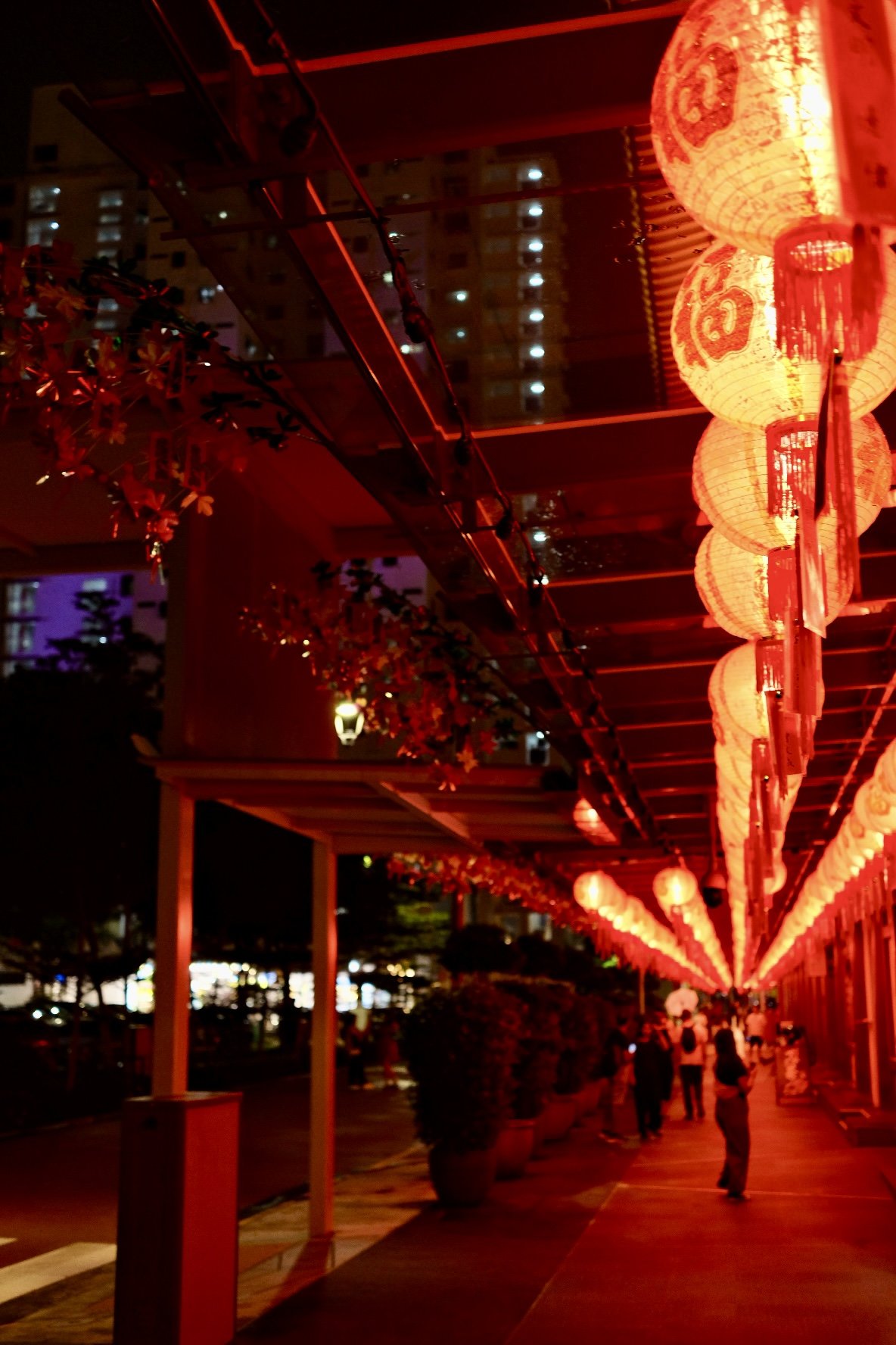 From Rainy Reflections to Riverside Discoveries: Finding My Rhythm in Singapore