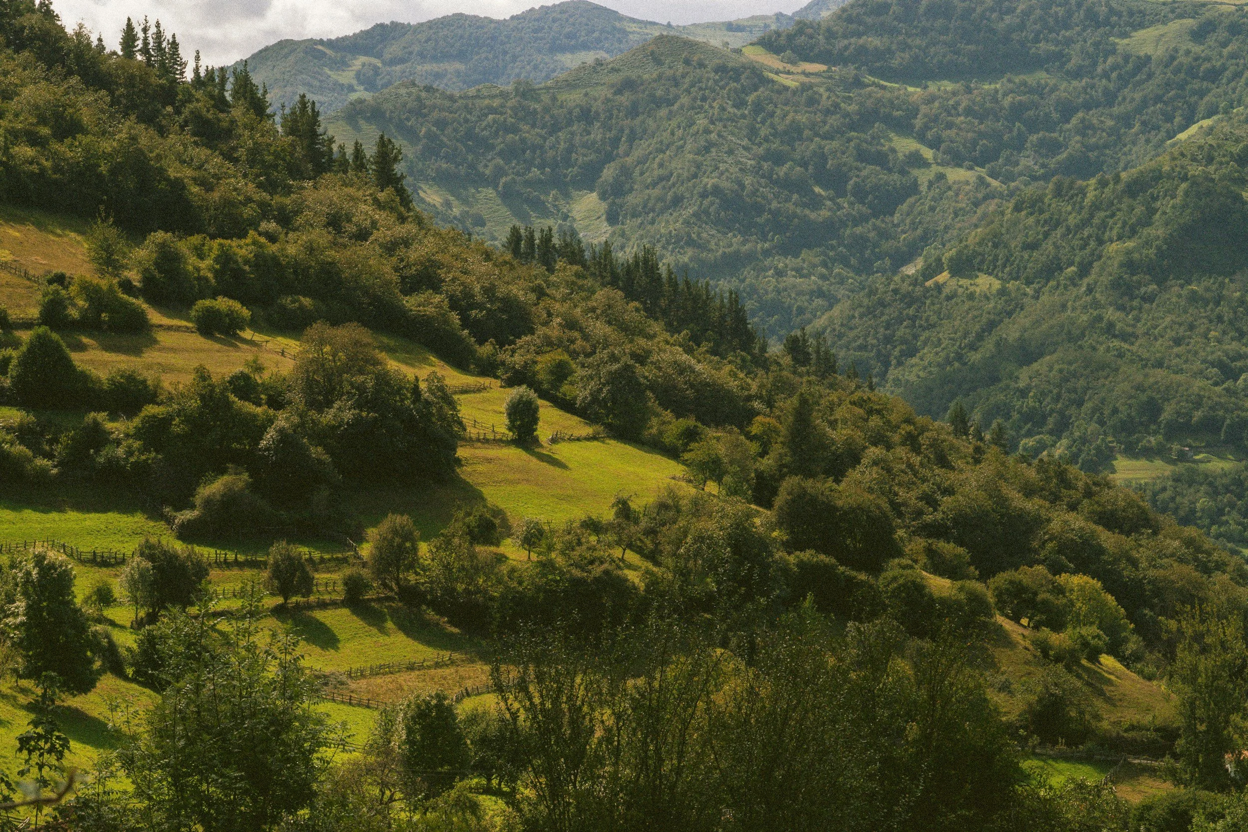 Land Selection & Site Investigations