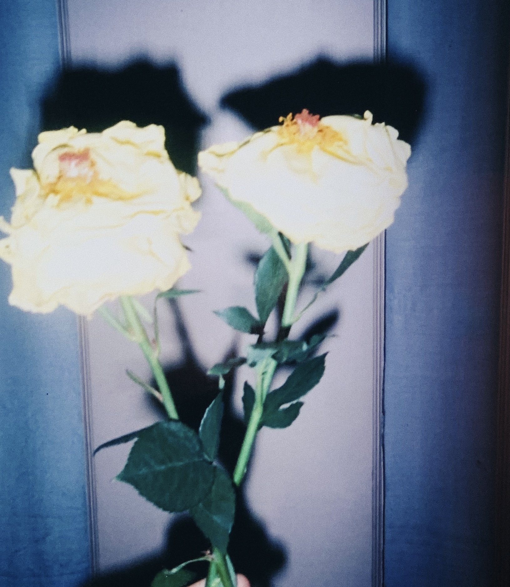 55872FA2-5CF6-4870-BC36-80C570346419.jpeg