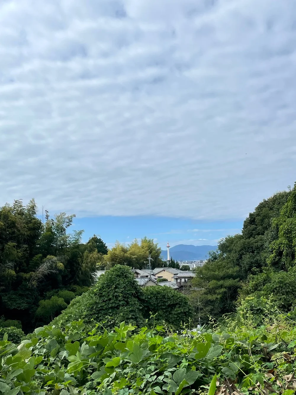 tokyo-tower-from-imakumano.jpeg