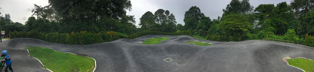 Chestnut Nature Park Pump Track