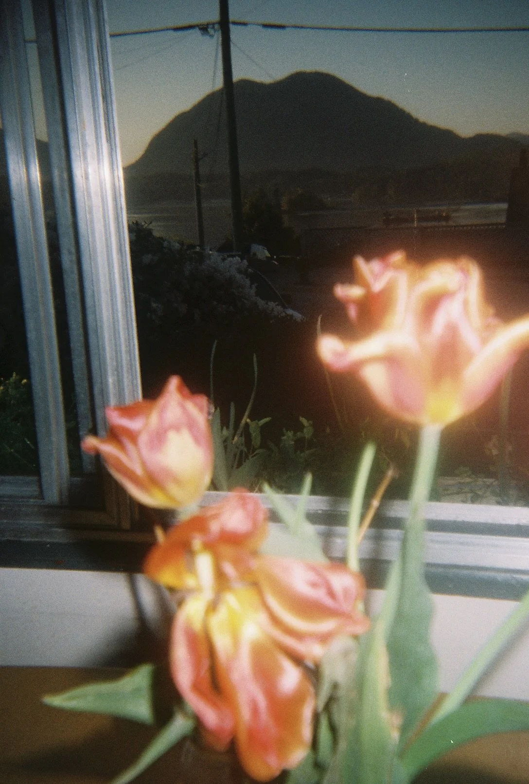 0002642_0002642-R1-051-24.jpeg