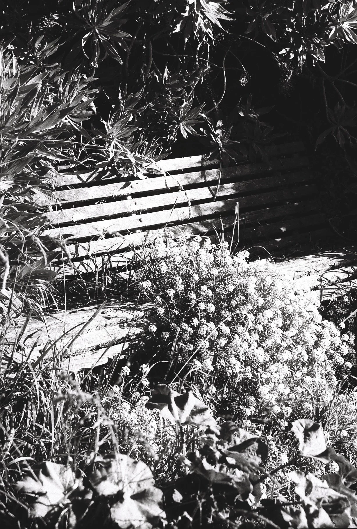 A034769-R1-35-36.jpeg