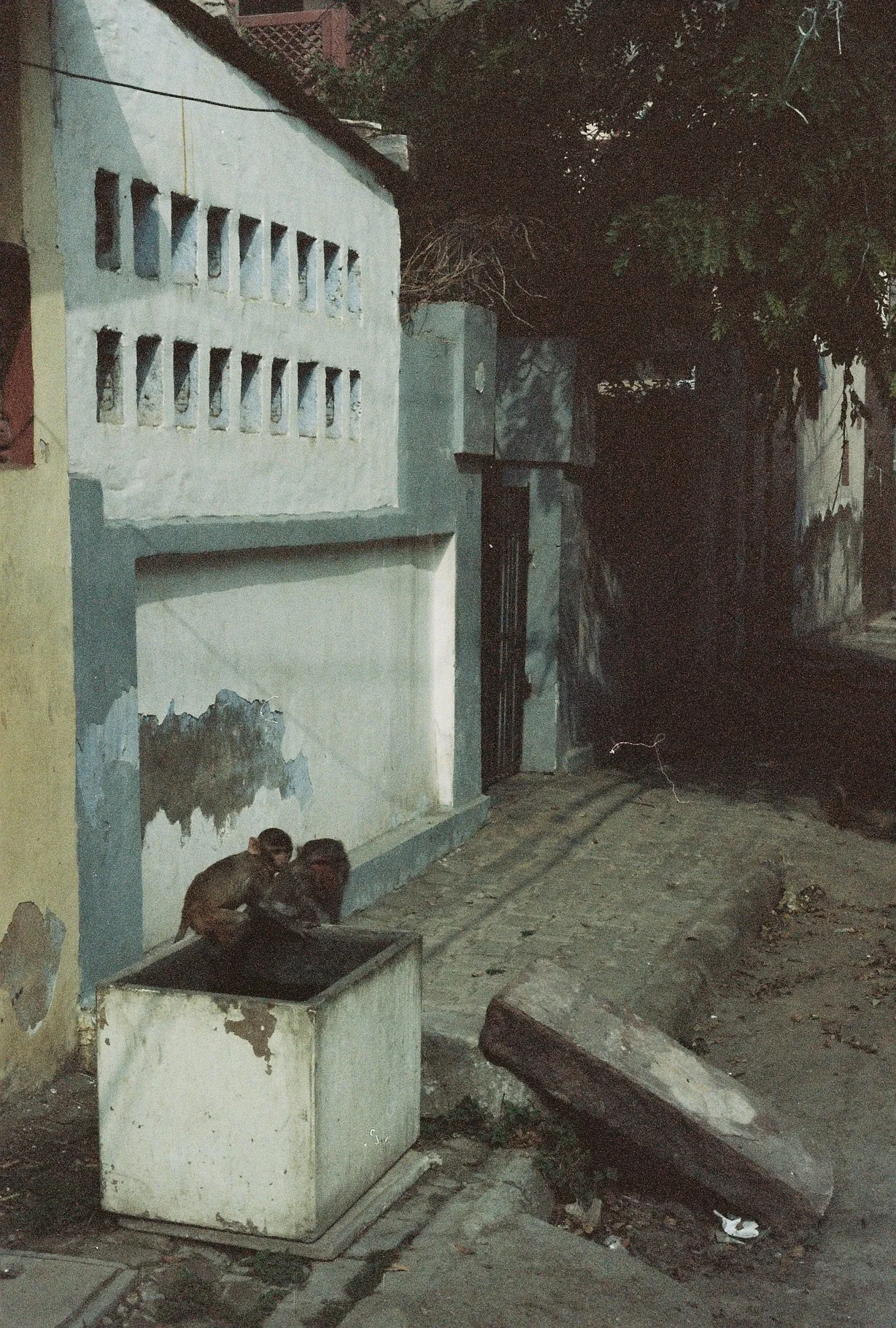 0003147_0003147-R1-061-29.jpeg