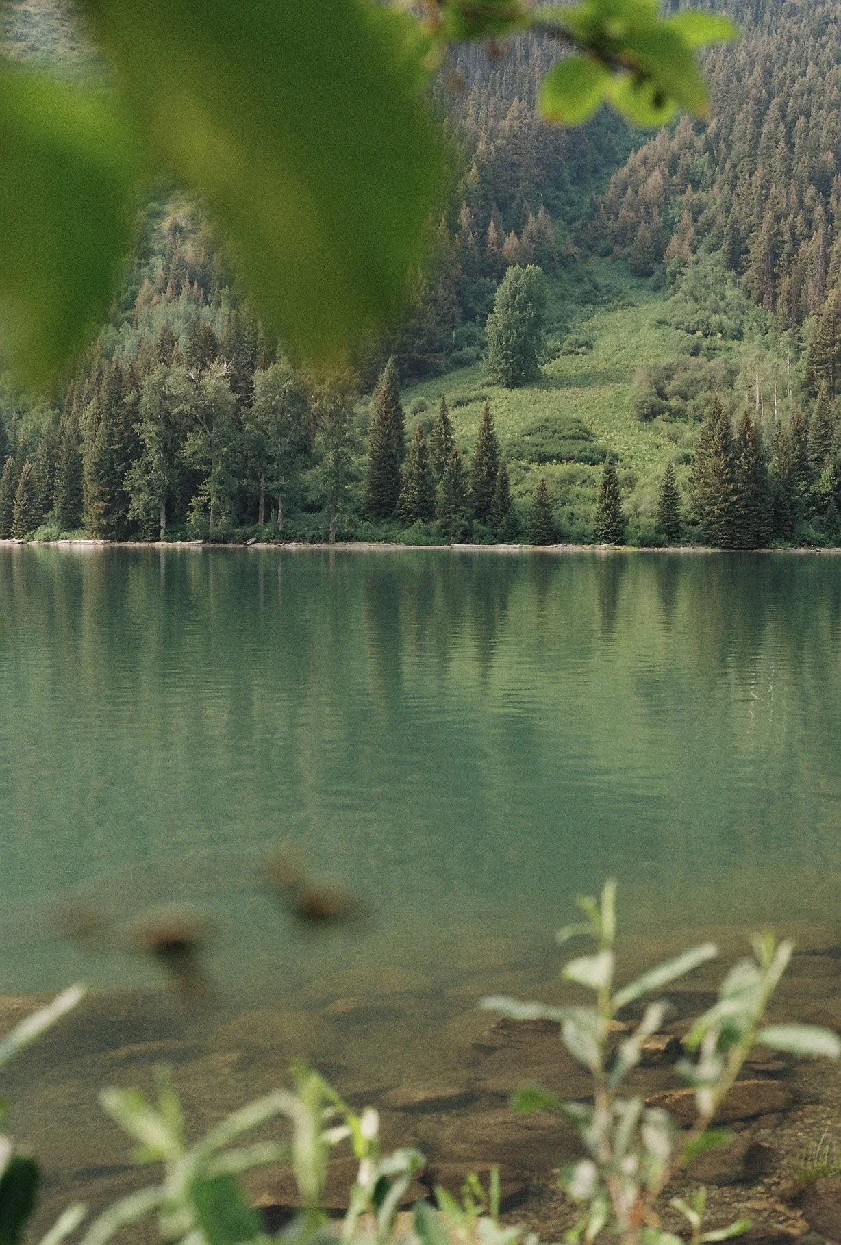 0002982_0002982-R1-075-36.jpeg