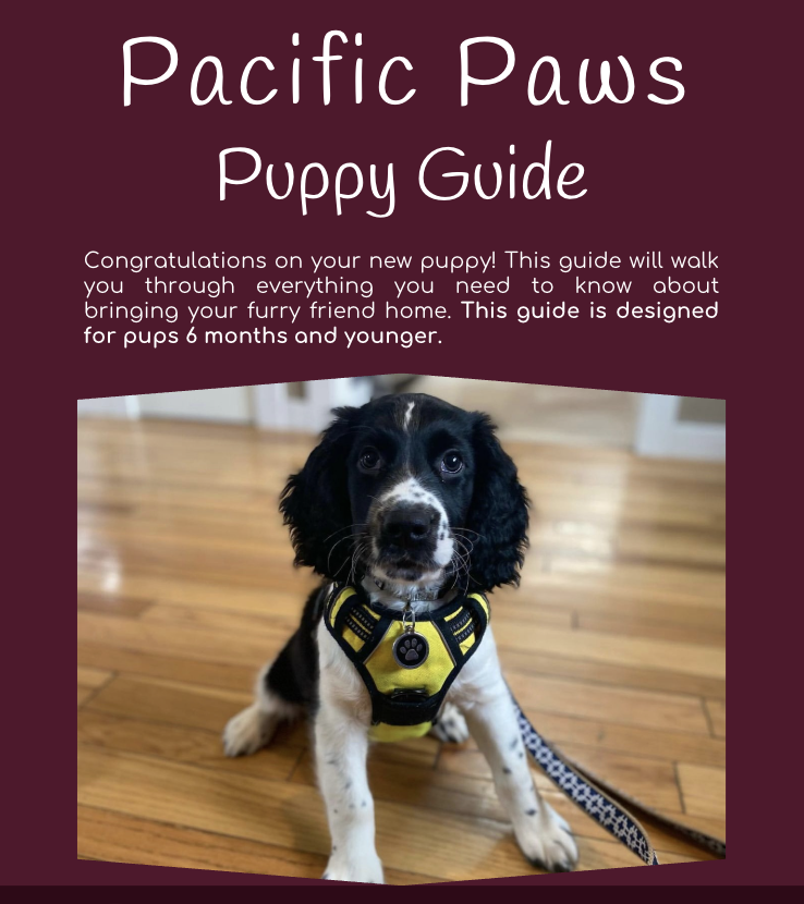 A black and white puppy wearing a yellow harness is sitting on a wooden floor, looking at the camera. The cover page of a puppy training guide titled 'Pacific Paws Puppy Training Guide' features text congratulating new puppy owners and information about bringing a furry friend home.