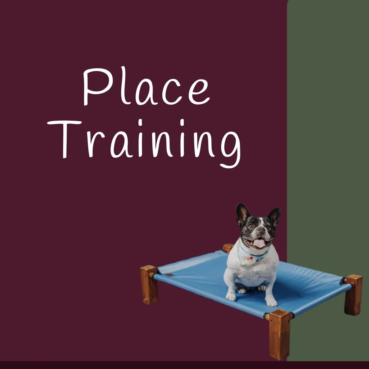 Place Training (ebook)