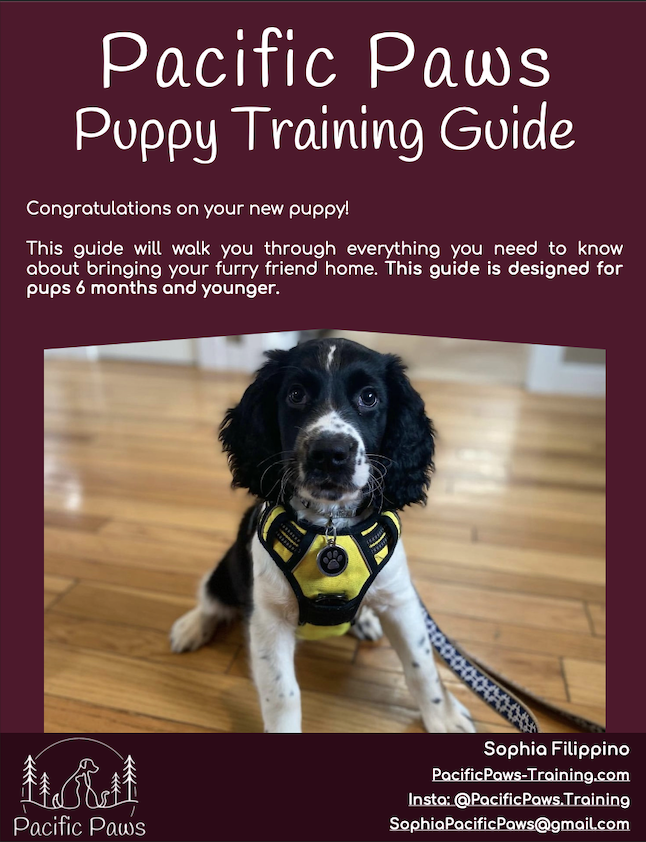 A black and white puppy wearing a yellow harness is sitting on a wooden floor, looking at the camera. The cover page of a puppy training guide titled 'Pacific Paws Puppy Training Guide' features text congratulating new puppy owners and information about bringing a furry friend home.