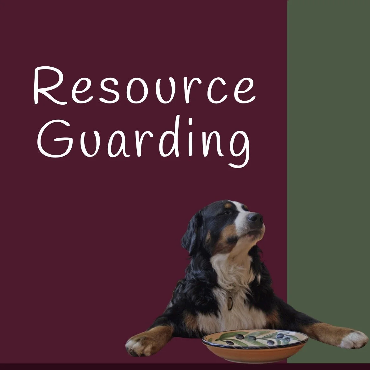 Cover of a resource guide titled 'Resource Guarding' featuring a dog with a bowl, and contact information for Pacific Paws Training & Care.