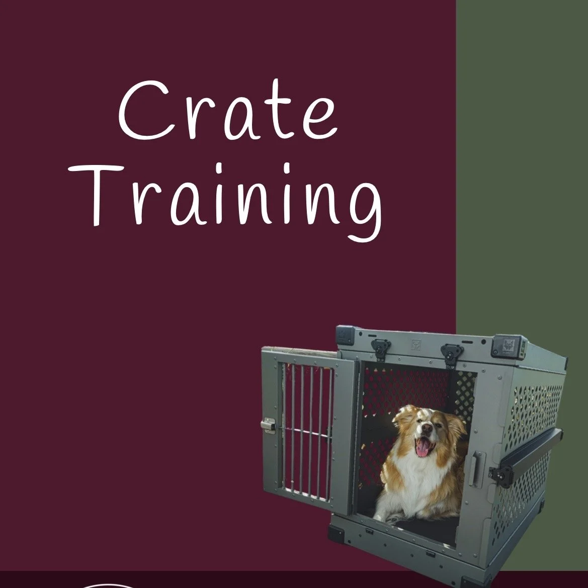 Crate Training (ebook)