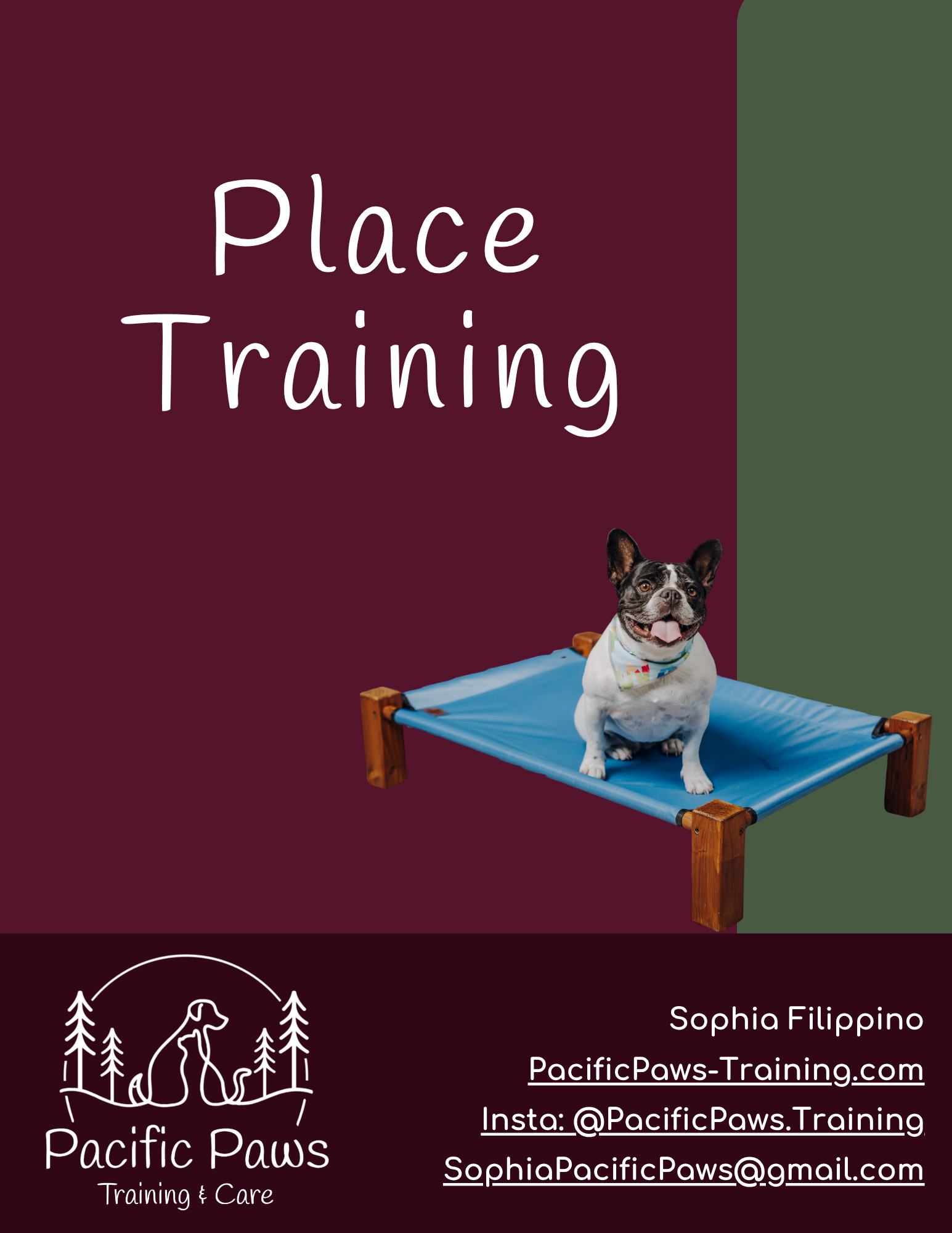 Business card for Pacific Paws Training & Care featuring a French Bulldog sitting on a blue training bed, with a maroon and green background, and contact information for Sophia Filippino.
