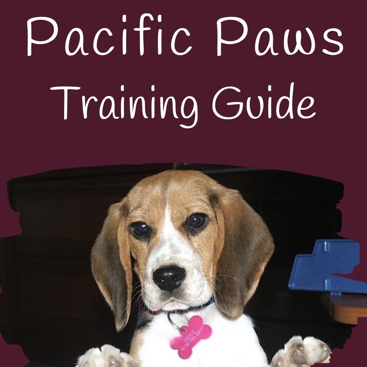 Cover page of Pacific Paws Training Guidebook featuring a puppy with a pink collar tag and text about dog training, contact info, and a logo.