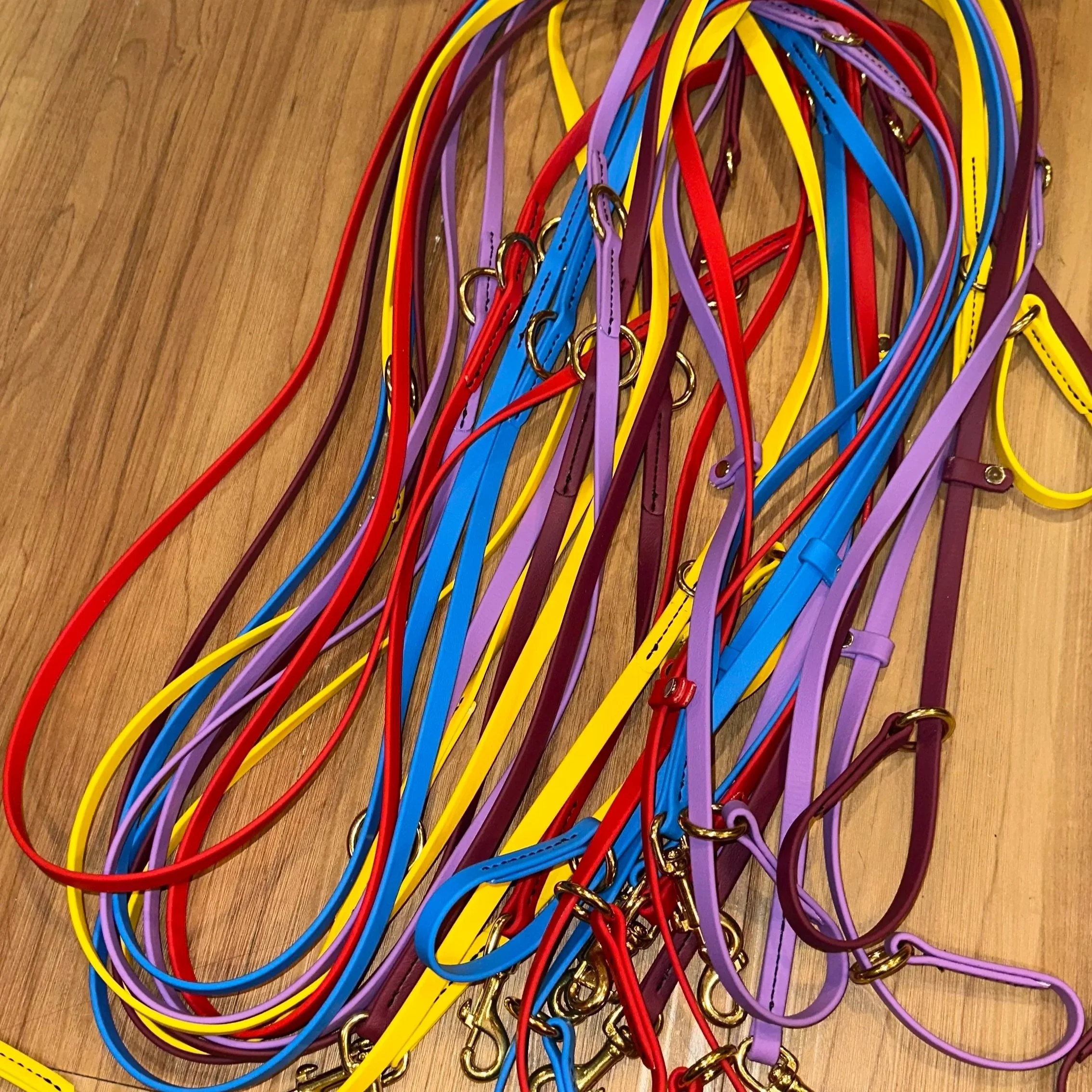 Pacific Paws Hands-Free Slip Lead