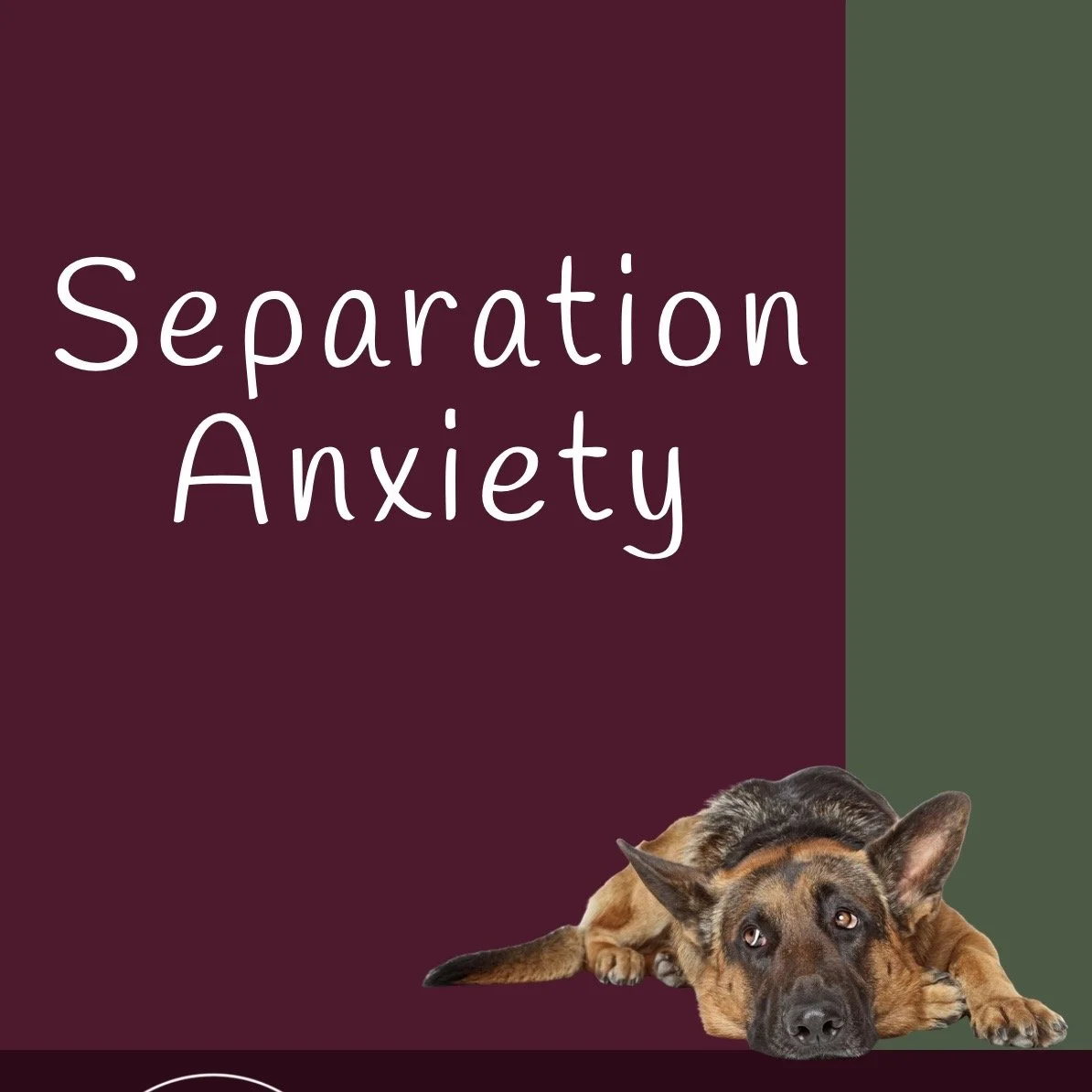 Book cover titled 'Separation Anxiety' with a picture of a lying German Shepherd dog and contact information for Pacific Paws Training & Care.