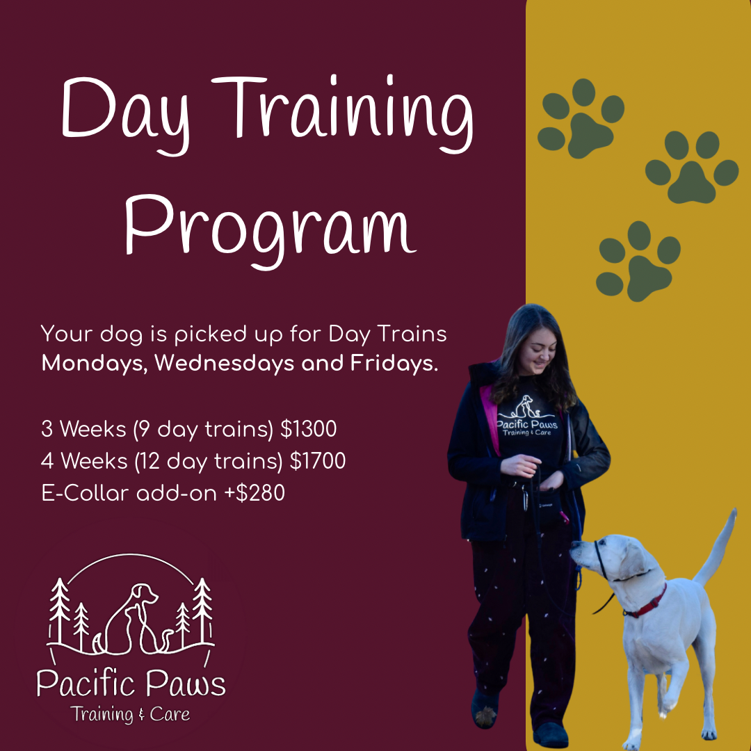 Day Training Program
