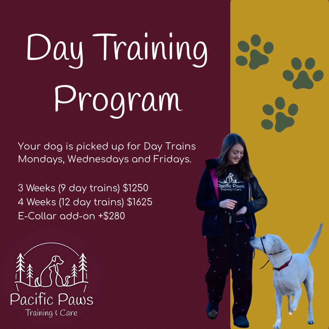 Training Programs Cover - 1.png