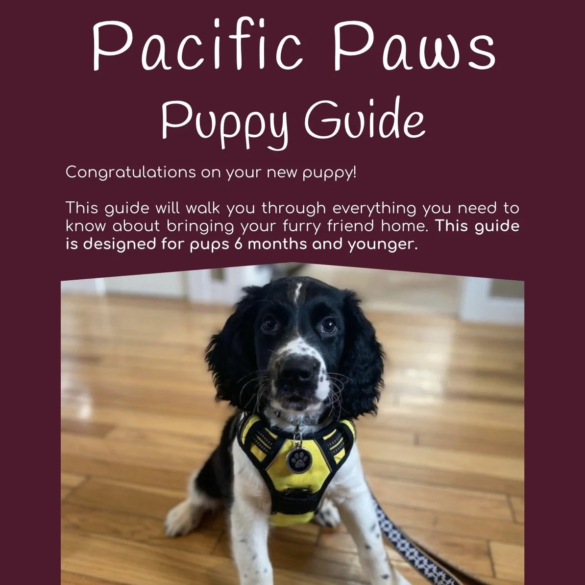 Pacific Paws Puppy Guide (ebook)