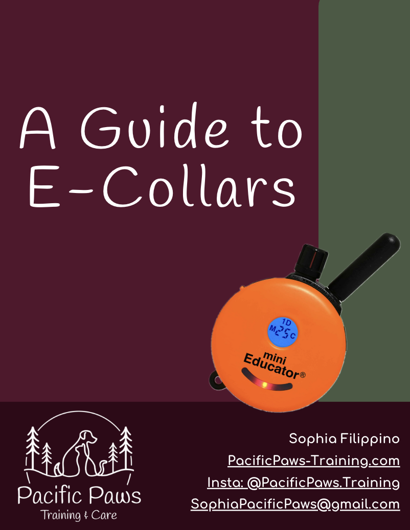 Cover of a guide titled 'A Guide to E-Collars' featuring an orange electronic collar and contact information for Sophia Filippino at Pacific Paws Training.