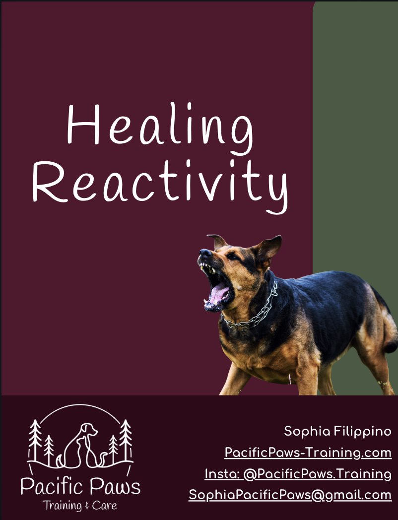 Book cover titled "Healing Reactivity" featuring a photo of a barking dog with a chain collar, and logos and contact information for Pacific Paws Training and Care.