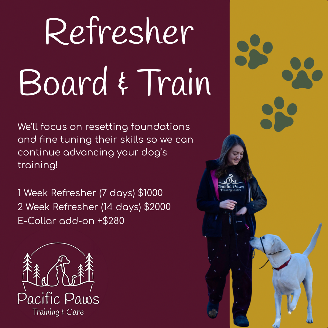 Refresher Board & Train Program