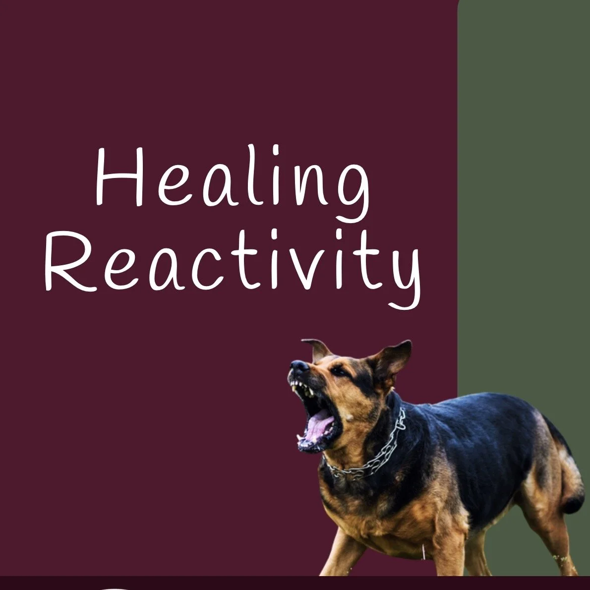 Healing Reactivity (ebook)