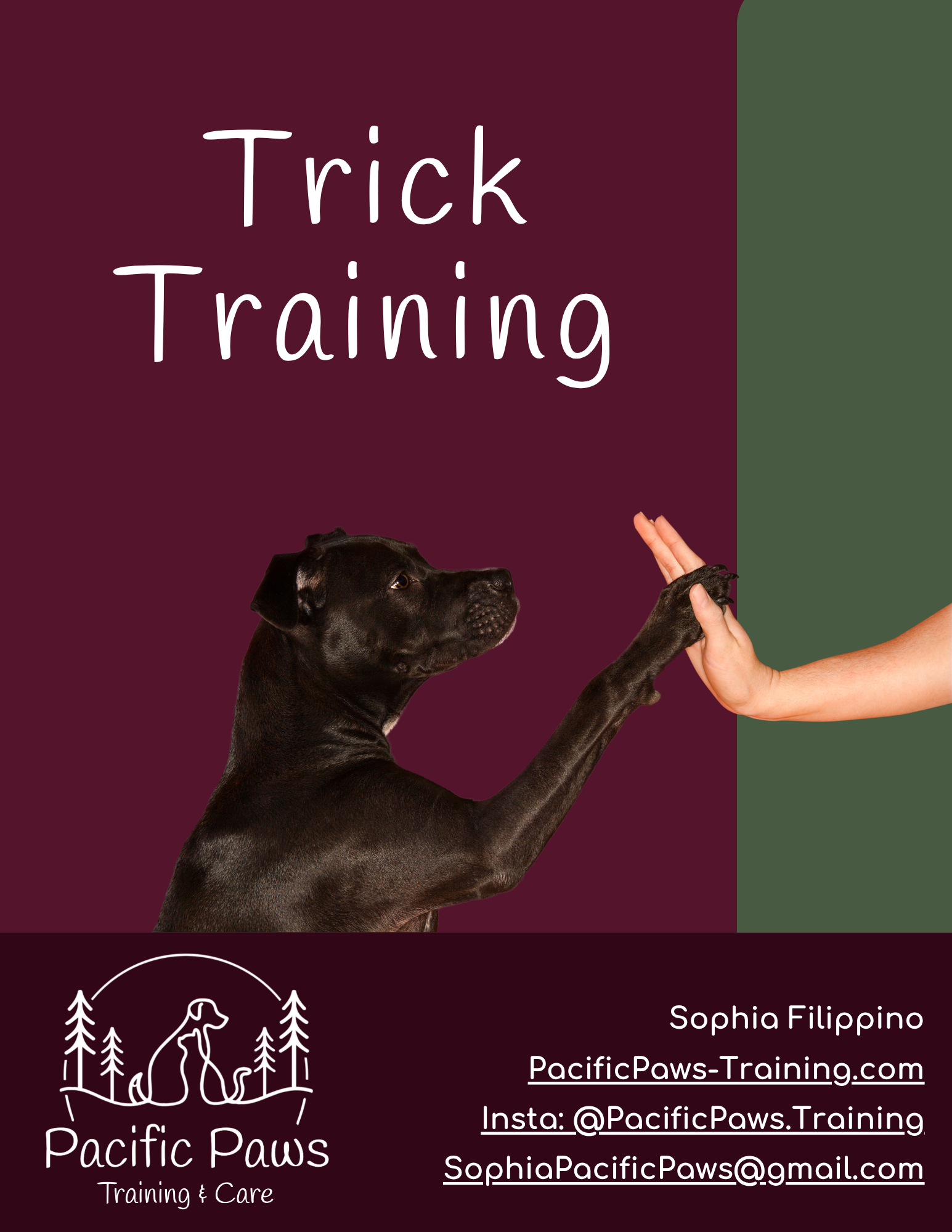 A promotional graphic for a trick training course featuring a black dog giving a high five to a person's hand, with text that reads "Trick Training" and contact information for Pacific Paws Training & Care.