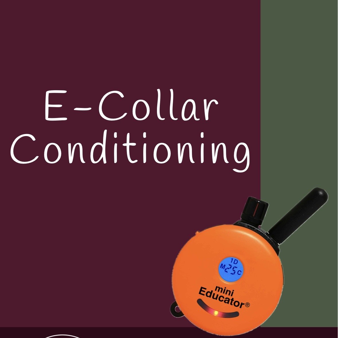 Cover of a guide titled 'A Guide to E-Collars' featuring an orange electronic collar and contact information for Sophia Filippino at Pacific Paws Training.
